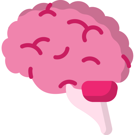 cerebro humano